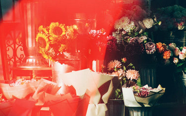 Seasonal Blooms to Brighten Your Home All Year Round