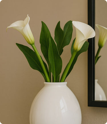 White Whisper Vase